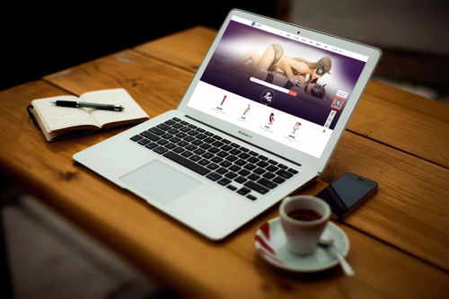 g點網 情趣商品在線體驗式平臺