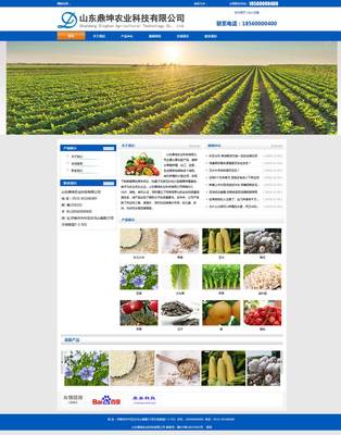山東鼎坤農(nóng)業(yè)企業(yè)網(wǎng)站建設成功案例 康美科技助力濟南農(nóng)業(yè)品牌數(shù)字化轉型